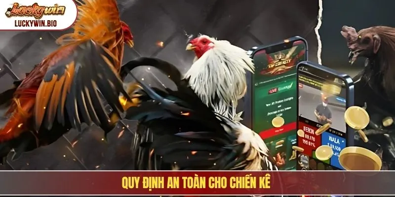 Quy định an toàn cho chiến kê
