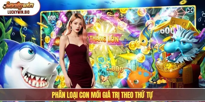 Phân loại con mồi giá trị theo thứ tự