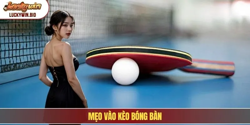 Mẹo vào kèo bóng bàn