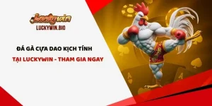 Đá Gà Cựa Dao Kịch Tính Tại Luckywin - Tham Gia Ngay