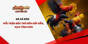 Đá Gà Đòn - Mỗi Trận Đấu Trở Nên Hấp Dẫn, Kịch Tính Hơn