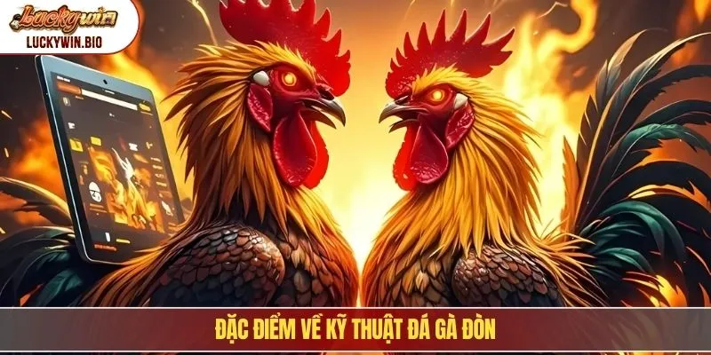 Đặc điểm về kỹ thuật đá gà đòn