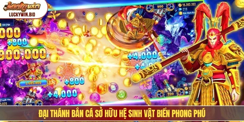 Đại thánh bắn cá sở hữu hệ sinh vật biển phong phú