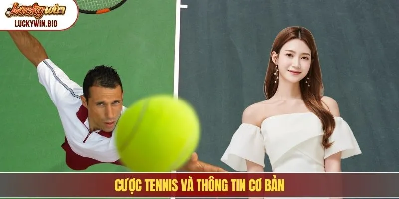 Cược tennis và thông tin cơ bản